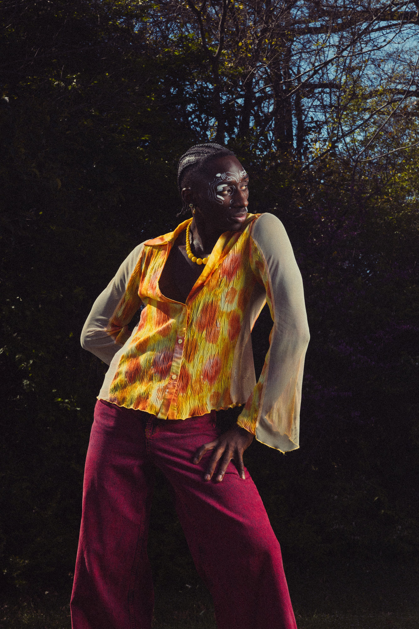 Dream State Series — photograph 9 of 15, by Peter Sanjur