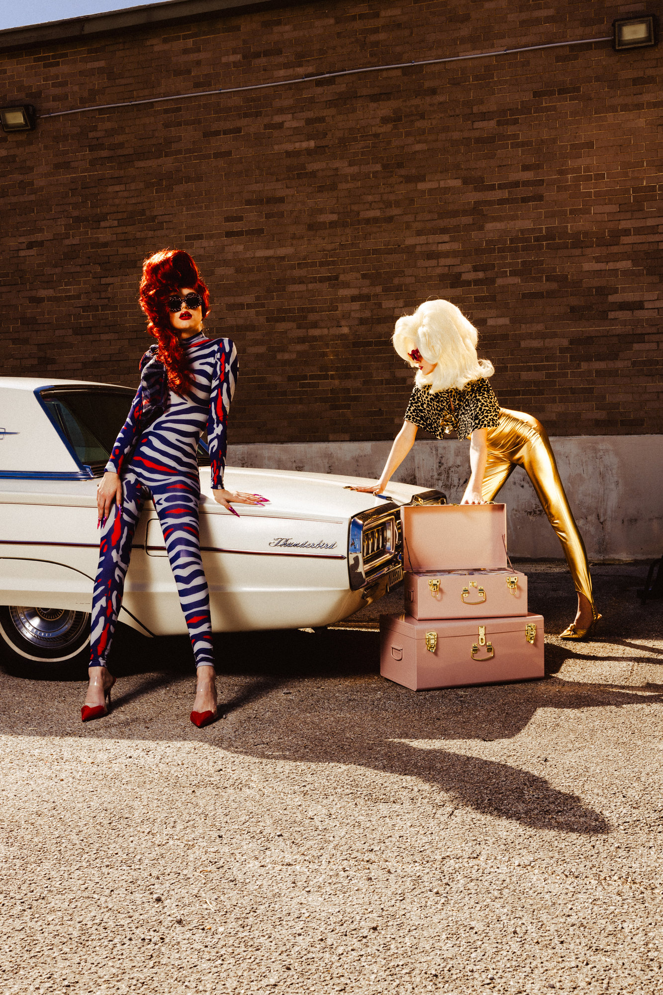 Roadkill — photograph 3 of 17, by Peter Sanjur