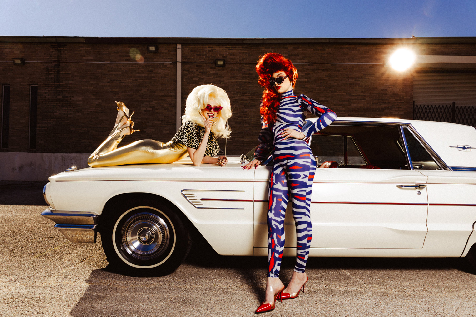 Roadkill — photograph 10 of 17, by Peter Sanjur