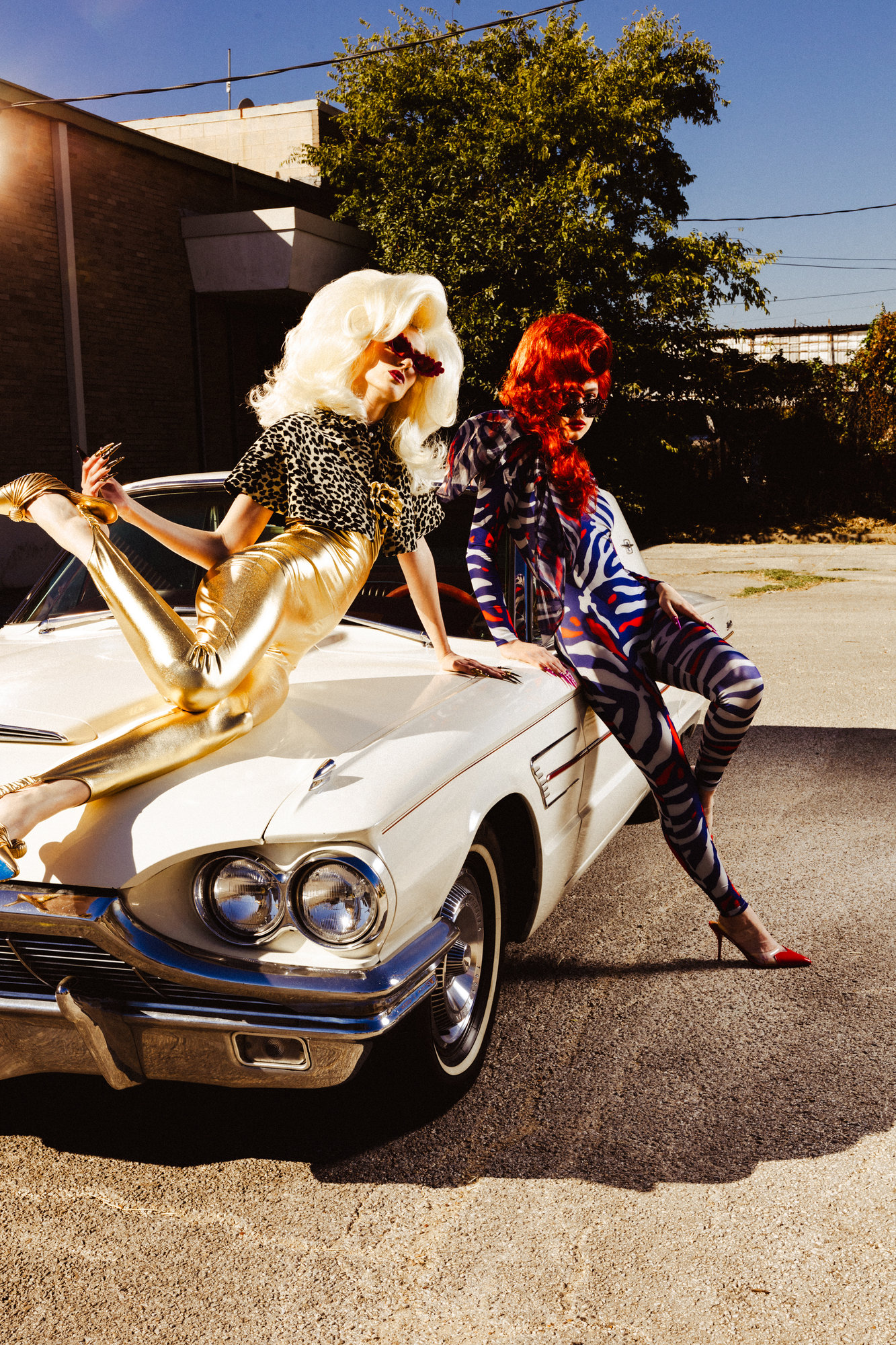 Roadkill — photograph 15 of 17, by Peter Sanjur