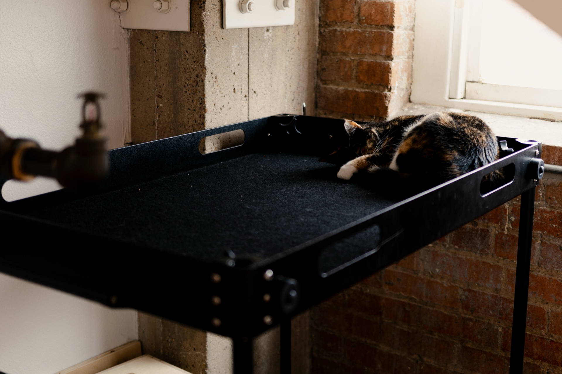 A cat curled up on the production cart beside a brick wall